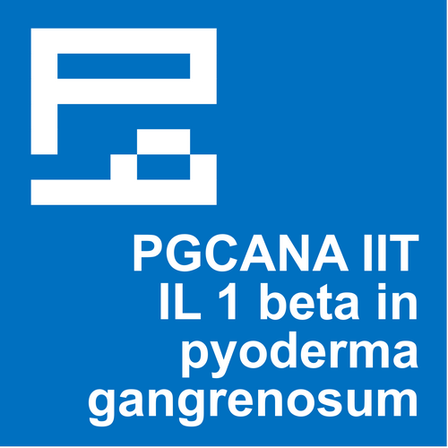 project 16 pgcana iit
